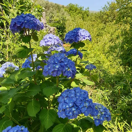 Quinta Da Casa Dos Santos - Inside جيريز