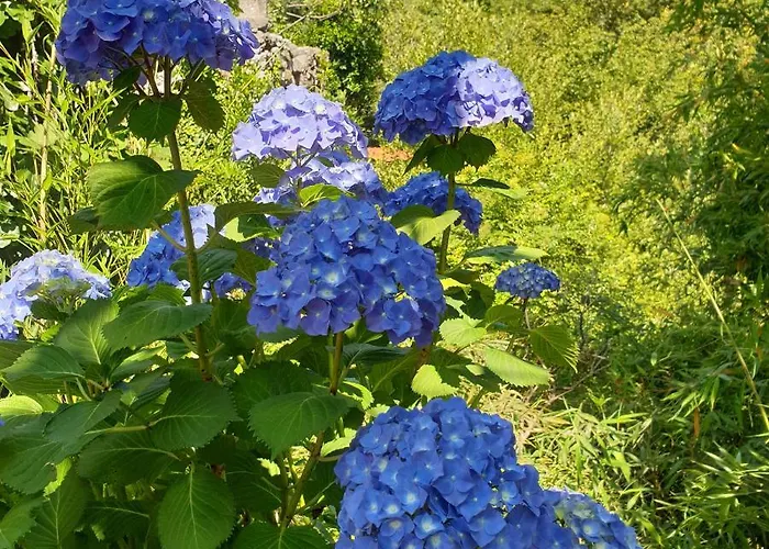 Quinta Da Casa Dos Santos - Inside Geres